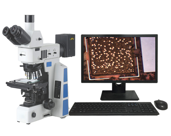 为什么显示屏上会有新的专业电子显微镜专业厂家？